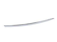 GM 20816961 Body Side Molding, Front Driver Side