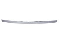 GM 95389392 Lower Molding