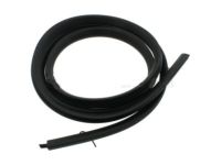 GM 22766400 Surround Weatherstrip, Front Driver Side