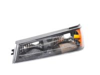 GM 19418419 Parking/Turn Lamp, Driver Side