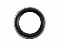 GM 13579646 Pressure Hose Washer