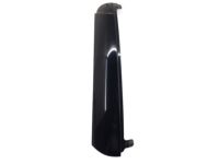 GM 15187928 Side Molding, Driver Side