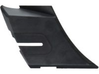 GM 25820729 End Cap, Driver Side
