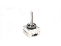 GM 19369521 Hid Bulb