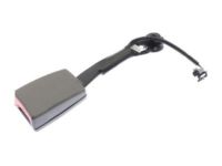 GM 19208289 Buckle, Titanium, Driver Side