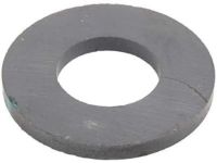 GM 29535617 Magnet