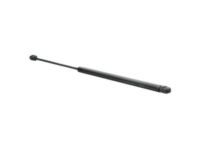 GM 25992461 Lift Cylinder