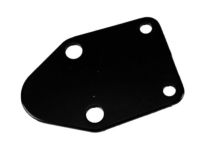 GM 14094069 Cover, Fuel Pump