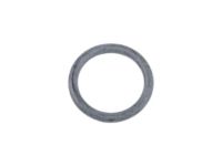 GM 25904093 Reservoir Cap Seal