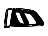 GM 84145779 Outer Grille, Passenger Side