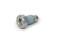 GM 11610259 Plug, Engine Cylinder Head
