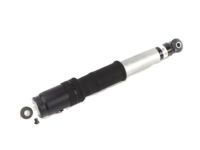 GM 19368459 Shock Absorber, Black, Rear