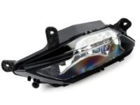 GM 39024269 Fog Lamp Assembly, Front Driver Side
