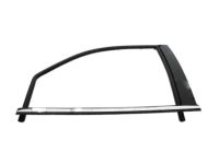 GM 20972289 Reveal Molding, Front Driver Side