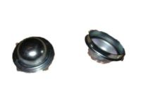 GM 15070471 Grease Cap, Front