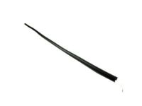 GM 15095432 Reveal Molding