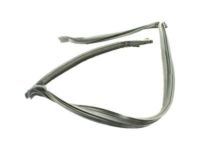 GM 84367842 Weatherstrip