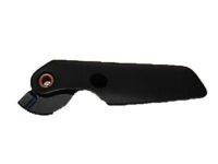 GM 19206591 Handle, Driver Side