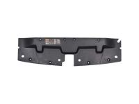 GM 22737380 Sight Shield, Upper