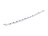 GM 84795605 Molding, Passenger Side