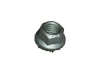 GM 94515068 Nut, Catalytic Converter