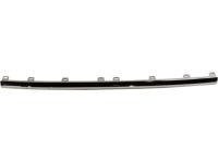 GM 84255081 Lower Molding