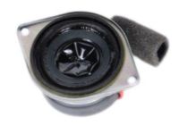 GM 10302944 Speaker, Rear