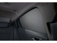 GM 84154508 Sunshade, Rear Door Window, Black
