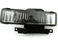 GM 16520630 Fog Lamp, Passenger Side
