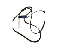 Chevrolet Astro Drive Belt - 12576761 Serpentine Belt