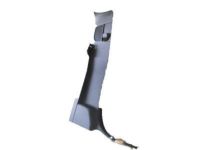 GM 23375938 Lock Pillar Trim, Black, Driver Side