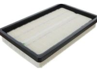 GM 10366901 Air Filter