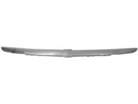 GM 25906306 Molding, Front