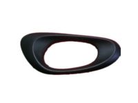 GM 15214507 Handle Bezel, Passenger Side