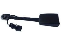 GM 19300532 Buckle, Black, Driver Side