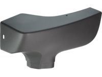 GM 15769302 Front Molding, Outer Passenger Side