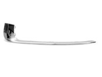 GM 13238372 Molding, Driver Side