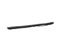 GM 23229396 Retainer, Rear Driver Side
