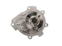 GM 25195119 Water Pump