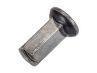 GM 11518684 Rail Nut, Black; Silver