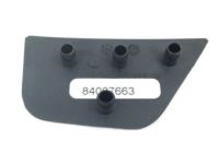 GM 84007663 Molding, Passenger Side