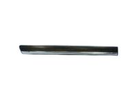 GM 15199304 Body Side Molding, Black Grained, Outer Driver Side