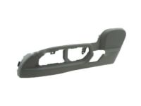 GM 20900055 Outer Finish Panel, Titanium, Driver Side