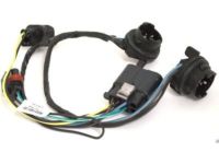 GM 25962806 Socket & Wire