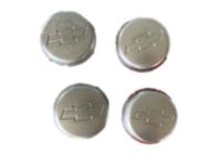GM 15661030 Hub Cap