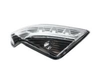 GM 20760212 Signal Lamp, Rear Passenger Side