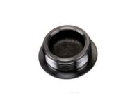 GM 20848733 Box Assembly Hole Plug, Outer