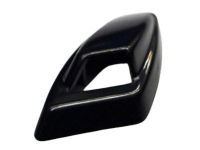 GM 12335889 Cover, Driver Side