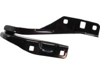 GM 23303048 Hinge, Driver Side