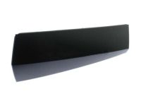 GM 23167643 Rear Molding, Driver Side